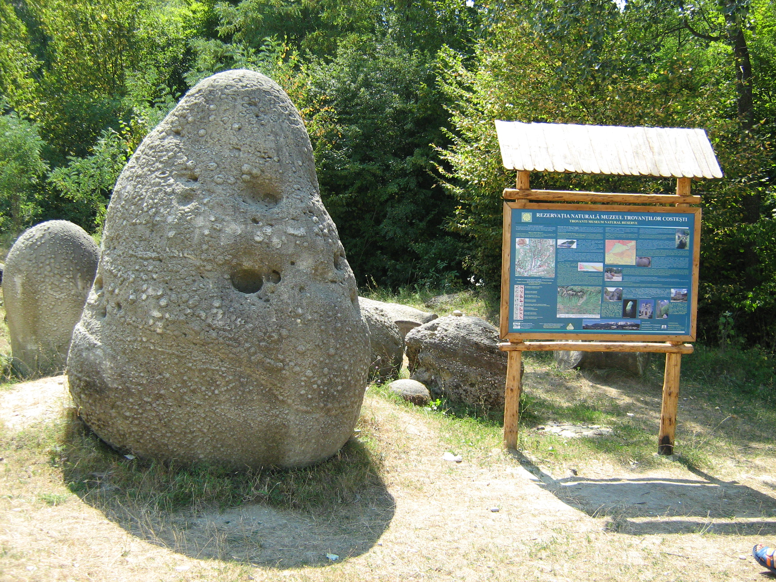 Rezervația Naturală Muzeul Trovanților Costești